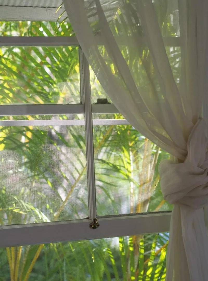Byron Springs Guest House Byron Bay